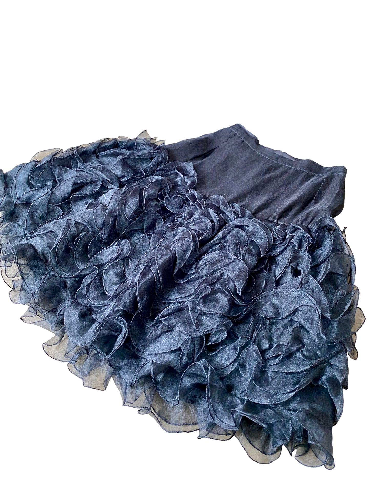 Shiny Flounce Skirt 80’s