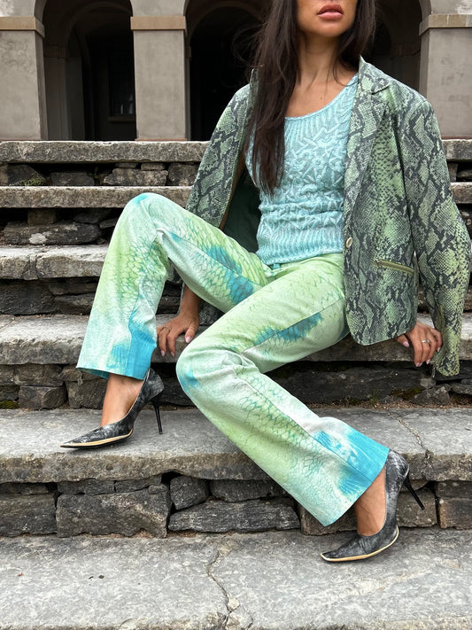 Roberto Cavalli Y2K snake print pants