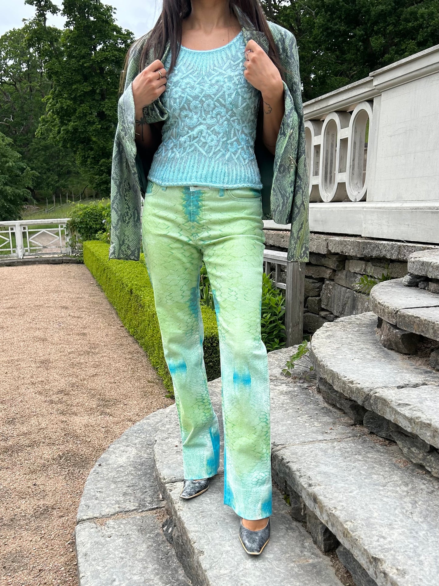 Roberto Cavalli Y2K snake print pants
