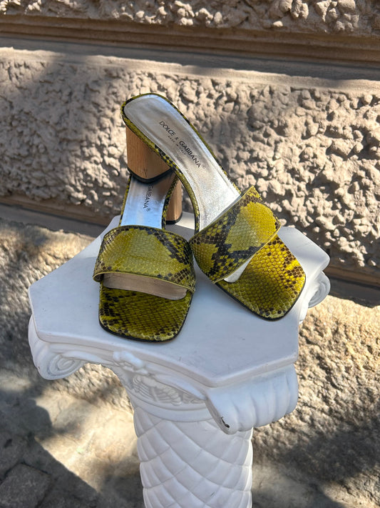 Dolce Gabbana Pytehon Snakeskin Mules