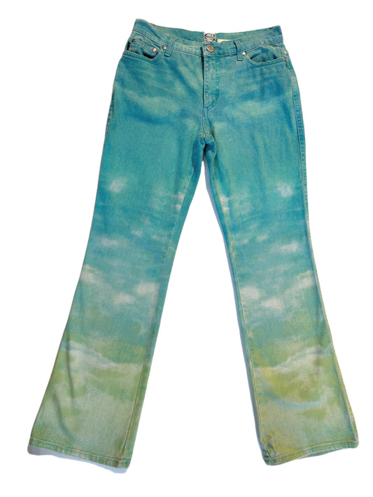 Roberto Cavalli Dreamy Ombré Bootcut Jeans