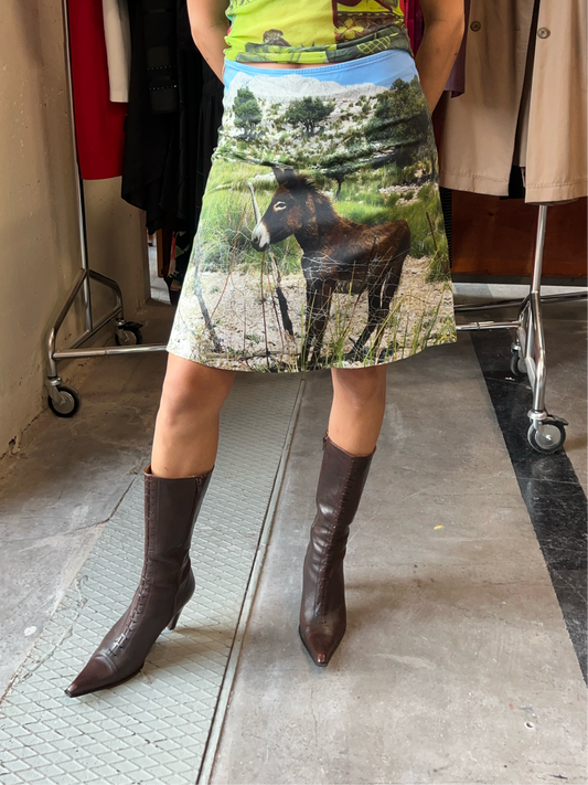 Landscape print skirt