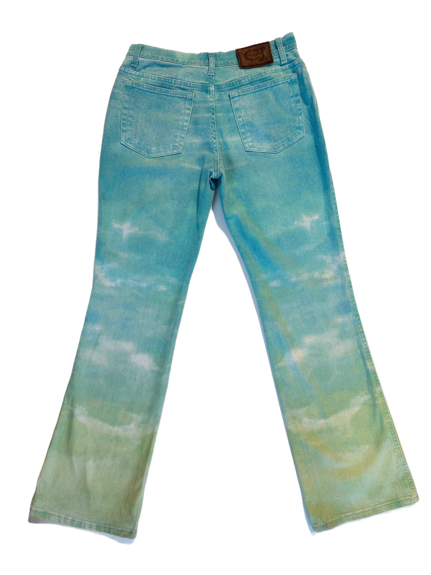 Roberto Cavalli Dreamy Ombré Bootcut Jeans