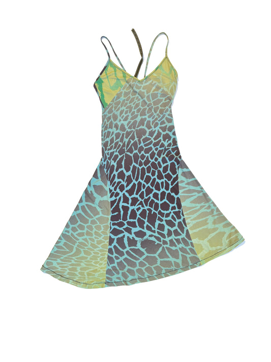 Roberto Cavalli animalprint dress