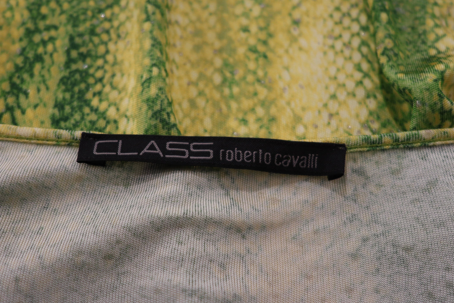 Vintage Class Roberto Cavalli Green Snake Print Set
